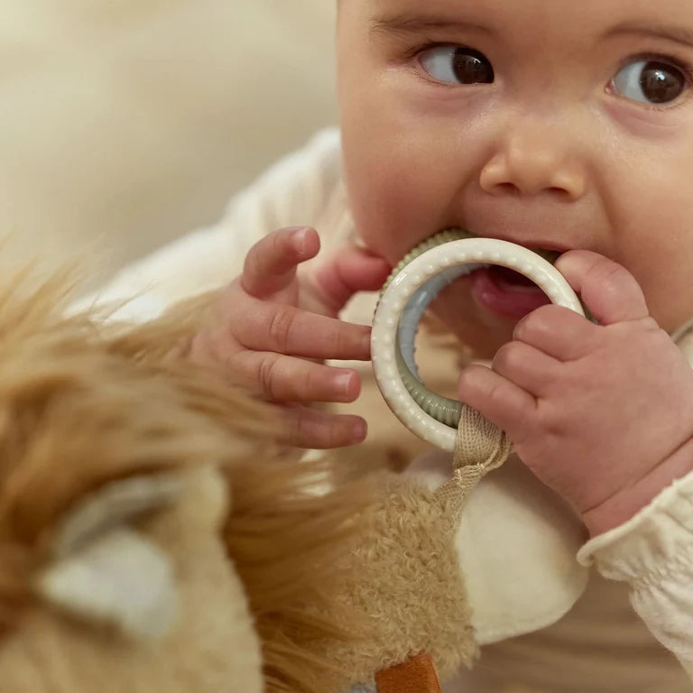 Peluche d'activités Lion - Safari Friends