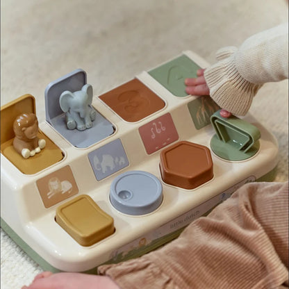 Pop-up animaux - Safari Friends