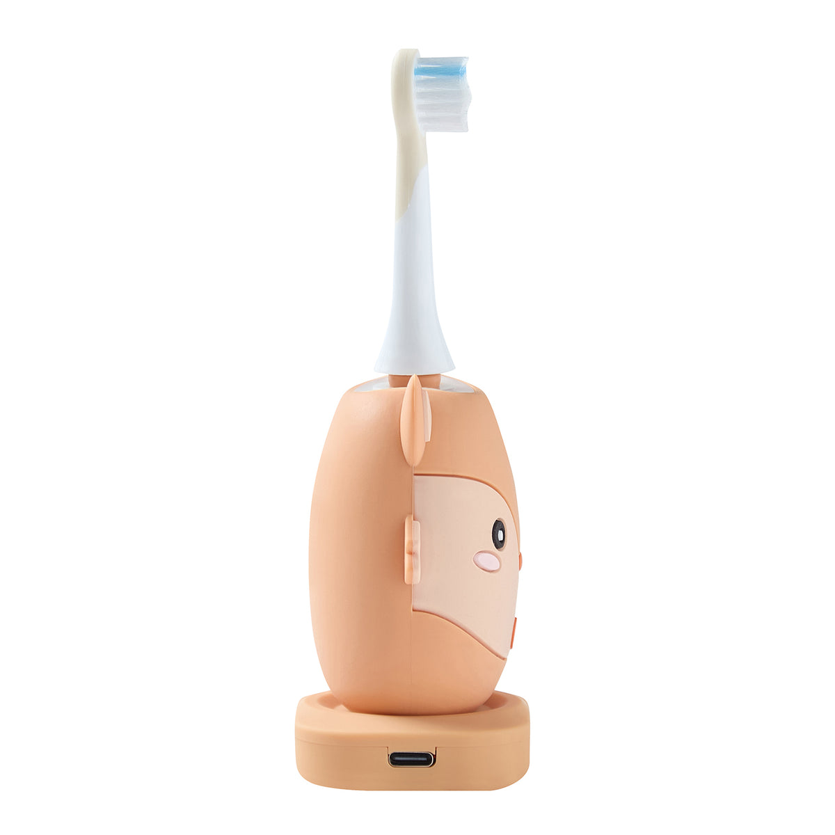 Brosse à dents électrique - Renard