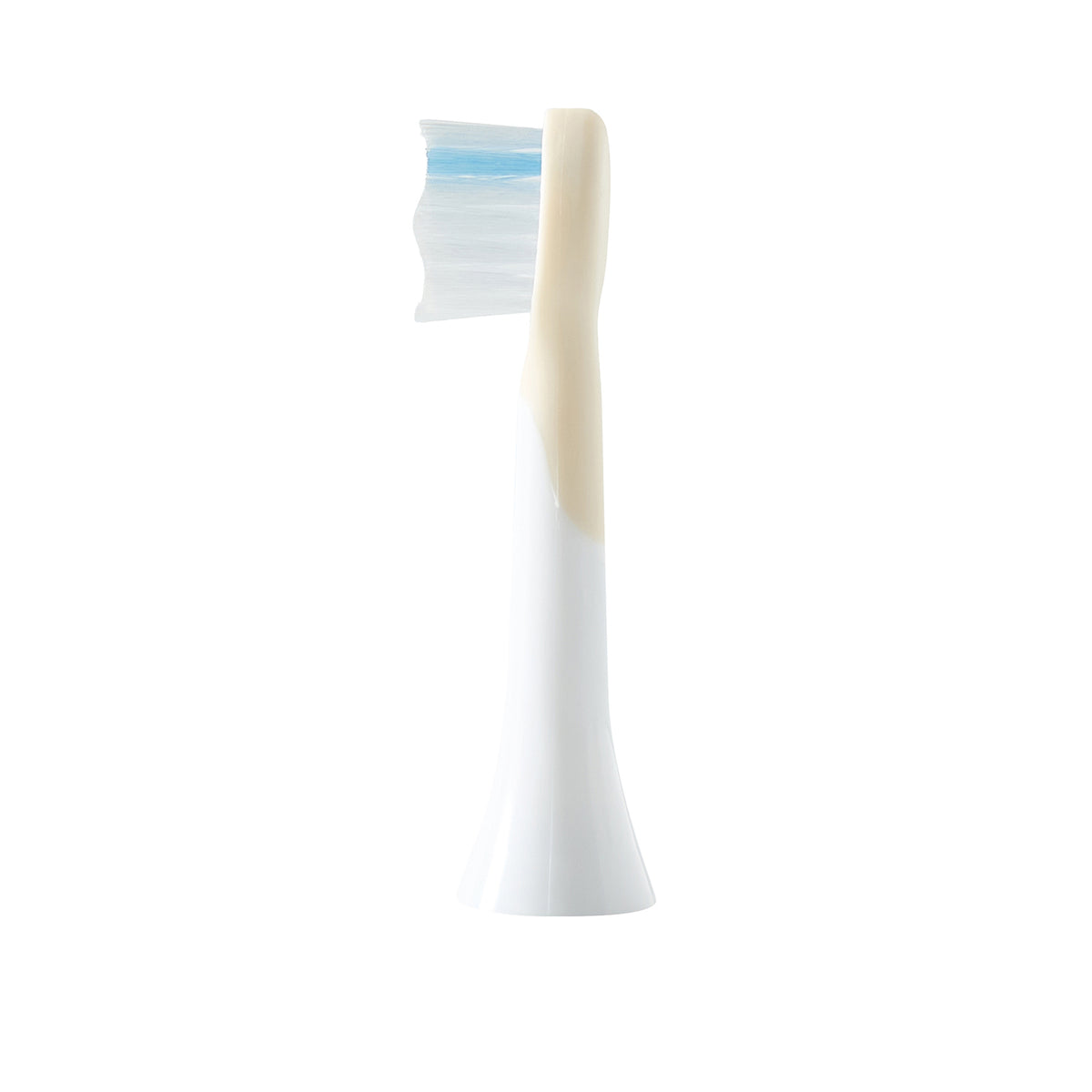 Lot de 2 brosses de rechange pour brosse à dents électrique